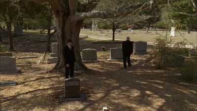 So, without further ado, - One Tree Hill