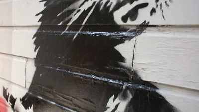 I had somebody call me-- - Saving Banksy
