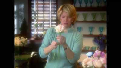 I sometimes think it's because
she does something that all of us, - Martha