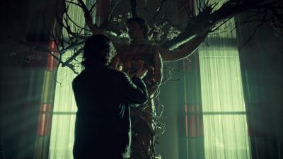 I sowed the seeds - Hannibal