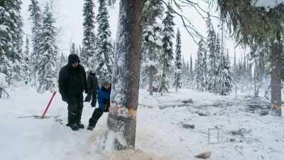 I spent so many years learning
and now it's time for me to - Life Below Zero: First Alaskans