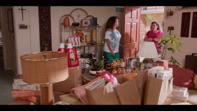 I spent our entire
month's grocery budget - Gordita Chronicles
