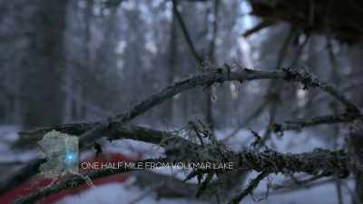 I spotted these trees
when I scouted my location - Life Below Zero: Next Generation