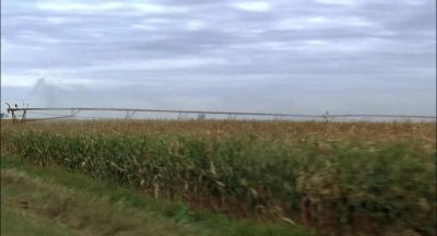 I spy with my little eye - Children of the Corn