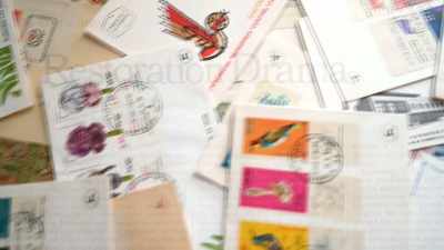 I started getting letters from
women - Explant