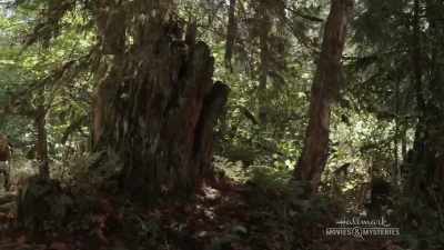 I started poking around down
at the Chamber of Commerce, - Chronicle Mysteries: The Wrong Man