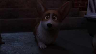 I started thinking you wouldn't show up. - The Queen's Corgi