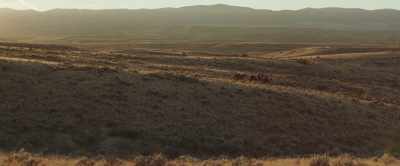 I still
can't believe
he'd shoot a man - The Ballad of Lefty Brown