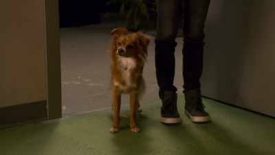I still can't believe our Noah - The Healing Powers of Dude