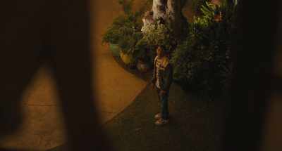I still don't know
why you were throwing rocks at my window. - Hollywood Stargirl