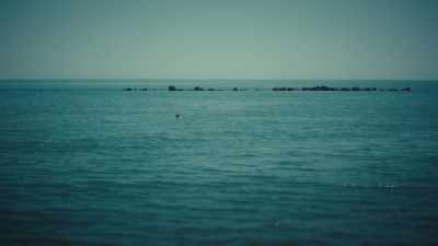 I still try to swim
every day I'm out here. - Call Me Kate