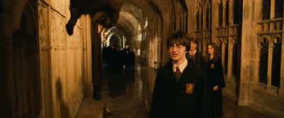 ...I strongly recommend caution... - Harry Potter and the Chamber of Secrets
