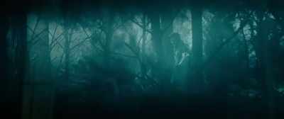 I stumbled through
the Black Forest for days. - The House with a Clock in Its Walls