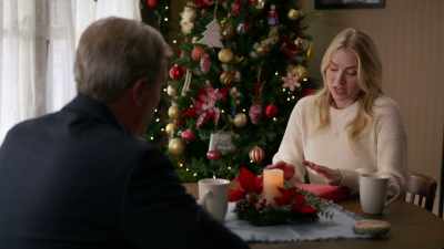 I submitted the online application,
but I wanted to give you a physical copy. - Christmas on Windmill Way