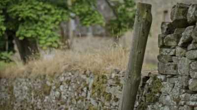 I was suffering abuse
from Derek Lincoln... - Children of the Cult