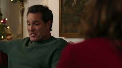 I suggest you tell the council, - Mystery on Mistletoe Lane