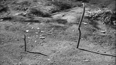 I suppose he means when the shadow from
the tall stick pulls back to the short stick. - Tarzan's New York Adventure