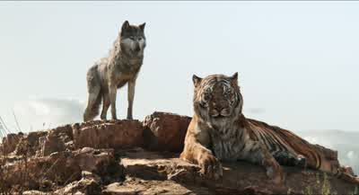 I suppose you know why I've come. - The Jungle Book