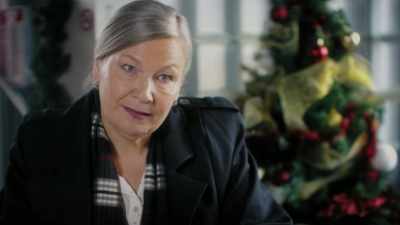 I was supposed to start
proceedings immediately, - Christmas Cupcakes