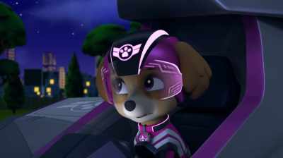 I was supposed to stop the Duke - PAW Patrol: Jet To The Rescue