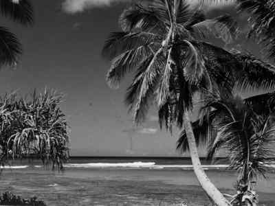 I sure am proud that
I did something brave. - Gilligan's Island