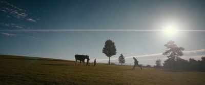 I was sure you'd find all this
sentimentality repellent. - American Pastoral