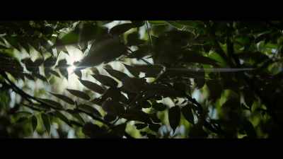 I talk to my counselor
about that all the time, - Untold: Deal with the Devil