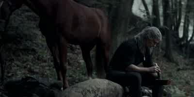I talk to my horse. - The Witcher