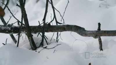 I taught my kids, - Life Below Zero: First Alaskans