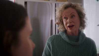 I taught school,
went to crafting classes, - The Dog Days of Christmas