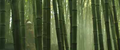 I taught her too late
to know her place. - Mulan