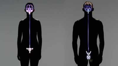 I teach middle school
and high school math and health. - Human: The World Within
