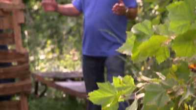 I tell you fellas, - Moonshiners: Master Distiller