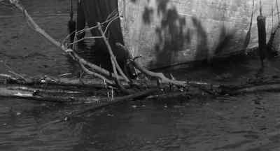 I tell you, nothing
was there when we came in. - Creature from the Black Lagoon
