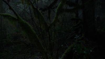 (TENSE MUSIC) - Grimm