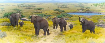 The elephant's with her family... - The Magician's Elephant