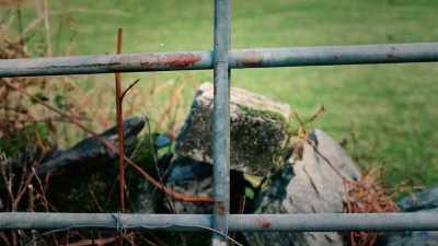 I had the gate removed as blood evidence. - Sophie: A Murder in West Cork