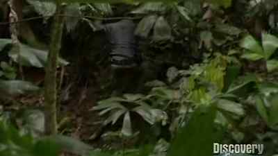 THE TERRAIN IS GETTING STEEPER, - Man vs. Wild