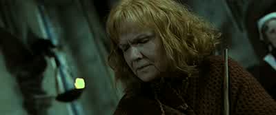 I therefore command my forces to retreat. - Harry Potter and the Deathly Hallows: Part 2