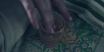 There's comfrey
and marigold oil - The Handmaid's Tale
