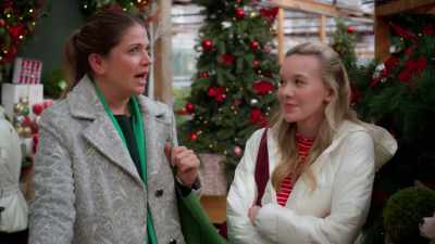 I think a growing a forest - Meet Me Under the Mistletoe