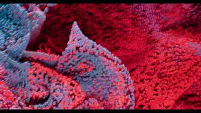 I think we all artists
have this tendency to, like, - What's Next? The Future with Bill Gates