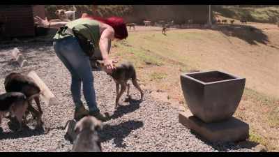 I think this all started
with Lya's passion for animals. - Dogs