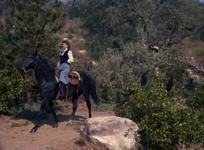 I think we better rest
the horses. - The Virginian