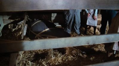 I think we can say, "Well done." - The Waltons