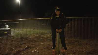 I think, certainly, since they've
changed the way they make these fences, - Wellington Paranormal
