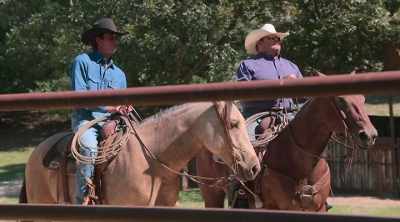 I think Cheech and J.B.
might make a good team. - How to Be a Cowboy