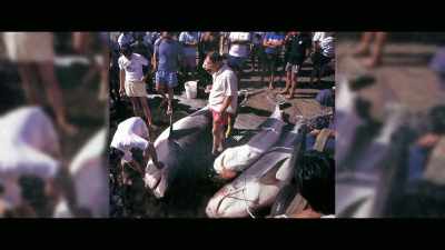 I think that estimated at
the time that they were done - Envoy: Shark Cull