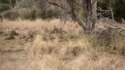  I think we follow our shadows. - Naked and Afraid