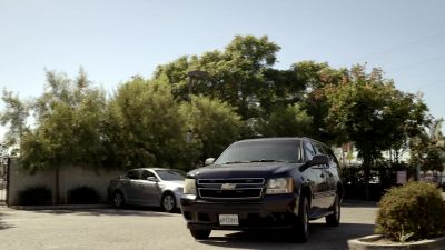 I think you got your copycat. - Bosch